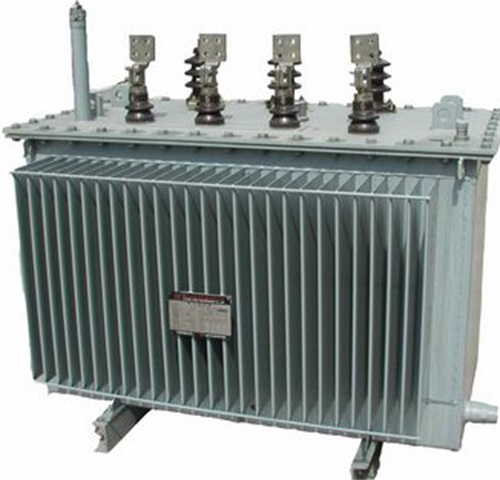 黎平S11-100KVA/10KV/0.4KV油浸式变压器厂家现货